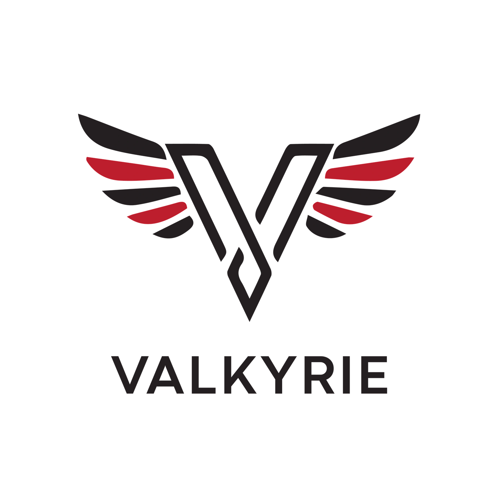 Valkyrie Construction